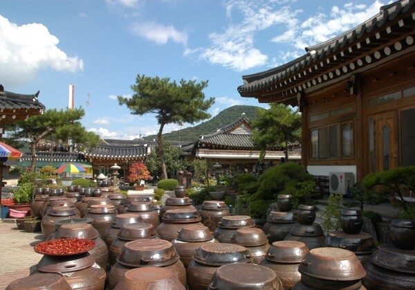 순창전통고추장민속마을 장독대에서 고추장이 맛있게 익어가고 있다.