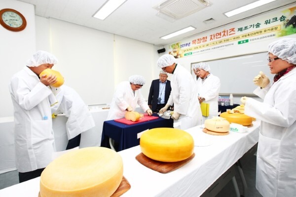 제13회 목장형 자연치즈 경연대회 /사진 제공 = 농촌진흥청