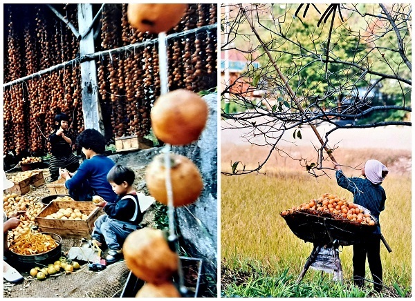 동상면 가을 풍경 /사진 = 고 이기선.