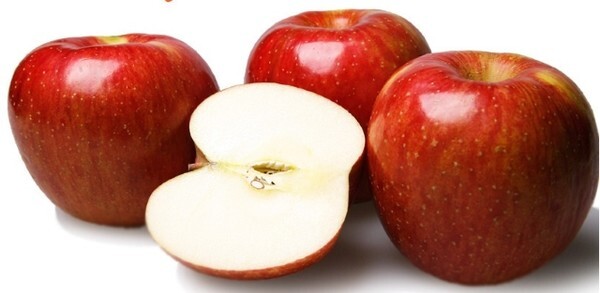 밀양 얼음골 사과. /사진 제공 = 밀양시