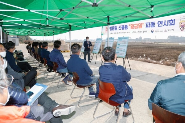 익산시가 27일 빵용 밀 신품종 ‘황금알’ 파종 연시회를 개최했다.