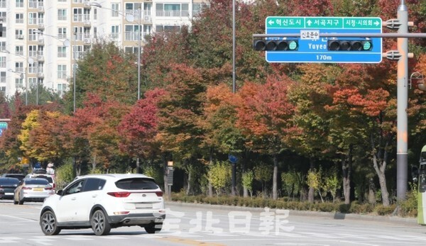 전주시 홍산 교차로의 비보호 좌회전 해제가 2년이 지났지만, 27일 여전히 차들이 불법 좌회전을 하고 있어 교통사고가 우려되고 있다. /사진 = 조현욱 기자