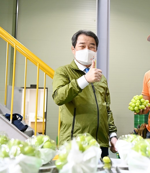김충섭 김천시장이 샤인머스켓 포도가 최고라고 홍보하고 있다. /사진 제공 = 김천시