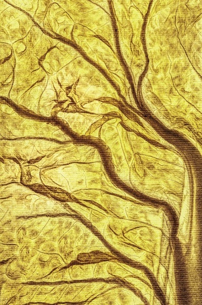 양철근 'Photo play 1st act #23'