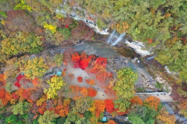 순창 강천산 병풍폭포 인근에 울긋불긋 단풍이 물들어 있다. 군은 10일까지 강천산 단풍이 절정을 이룰 것으로 바라보고 있다.