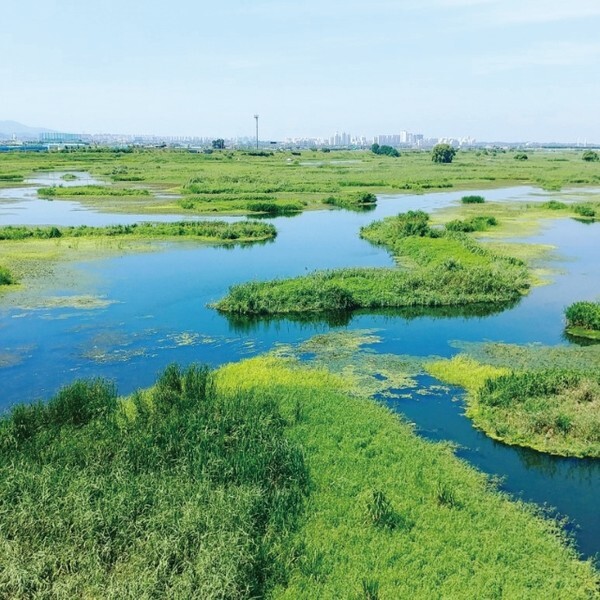 완주 만경강길 6코스인 산천습지길.