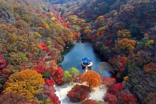 정읍 내장산 우화정 주변의 단풍이 아름다운 풍광을 자아내고 있다.
