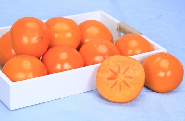 농진청이 개발한 새 국산 단감 품종 ‘원미’ /사진 제공 = 농총진흥청