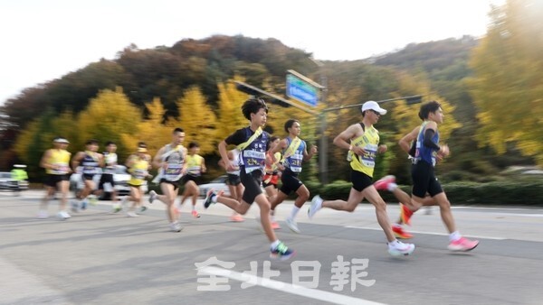 제33회 전북역전마라톤대회 2일차인 5일 순창군을 출발한 선수들이 노랗게 물든 가을 은행나무 도로를 달리고 있다. /사진 = 조현욱 기자