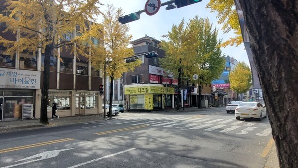 전주시 완산구 중앙동 서문 정류장 앞 도로에 정지선이 그려지지 않은 채 방치되고 있다.