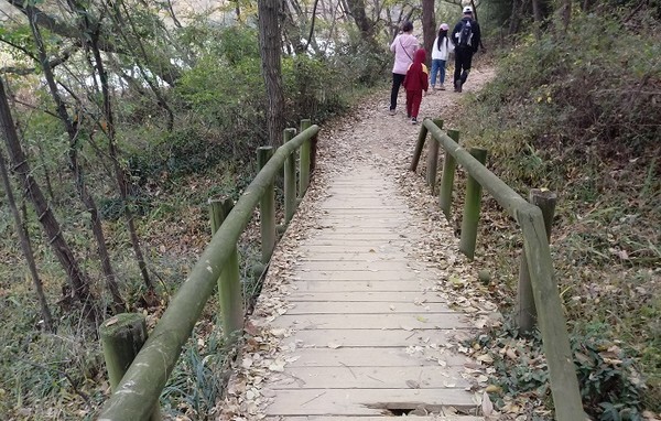 군산 청암산 산책로 울타리와 방부목이 파손돼 있다.