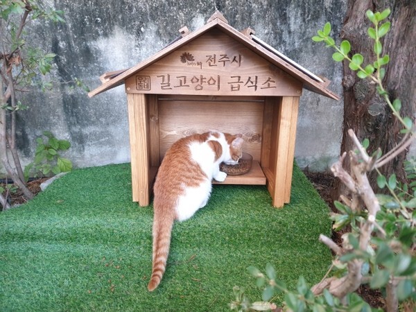 전주시가 '길고양이 민원'해소를 위해 설치한 길고양이 급식소. 안정적이고 위생적인 먹이를 제공할 뿐만 아니라 중성화 수술을 통해 개체 수를 조절하는 역할을 한다. /사진제공 = 전주시