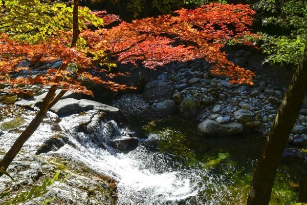 지리산 뱀사골.