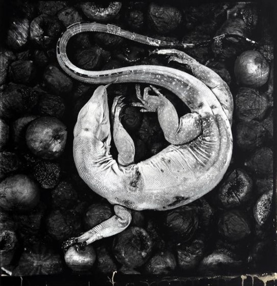 폴 가드(Paul Gadd) 'Still born'