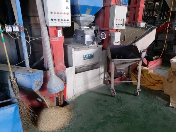 전주의 한 정미소에서 도정 작업이 한창이다.