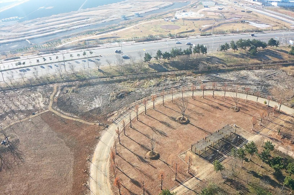 군산시 내초공원 새섬숲