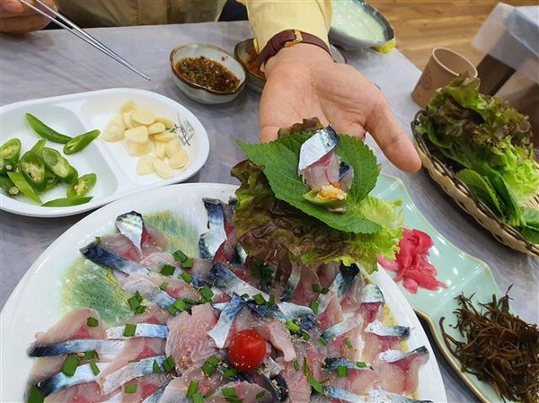 담백하고 고소한 욕지도 활고등어 회 한상 /사진=김성호 기자