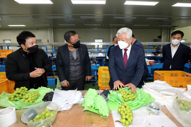 황인홍 군수, 샤인머스켓 수출 점검
