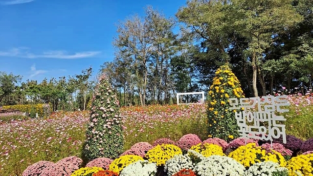 올해 비대면 천만송이 국화축제 전시기간 동안 개방돼 시민들의 큰 호응을 얻었던 신흥저수지 내 가을꽃정원