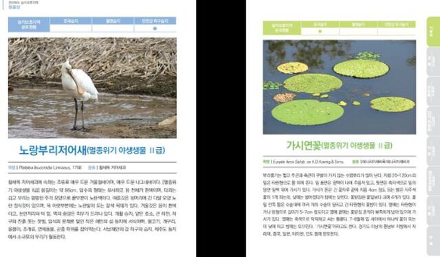 전북지방환경청이 발간한 '전북 습지보호지역 생태 도감'/사진=전북지방환경청 제공
