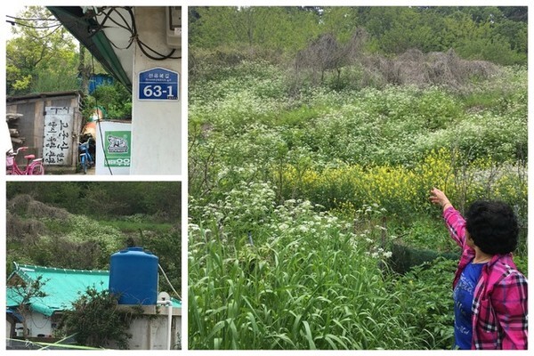 고군산진터 아래에서 마지막까지 살던 주민과 당시의 터