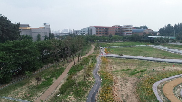 전북대 특성화캠퍼스 전경