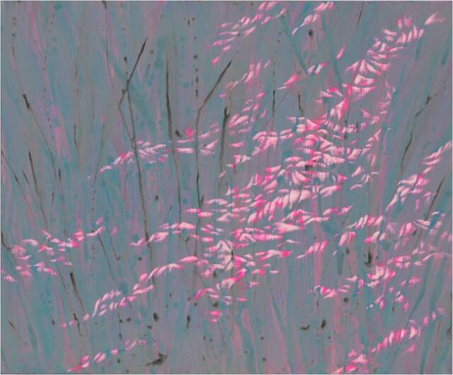 인체풍경-주름 21-XVII, 조우(遭遇)하다