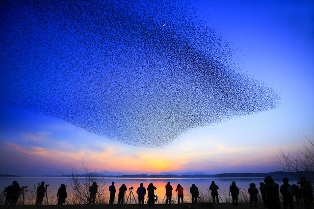 동림저수지/자료사진=고창군 제공