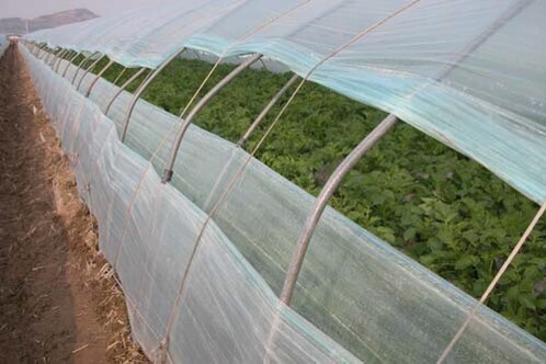 2중 수막 하우스 / 사진 = 농촌진흥청 제공