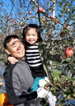 무풍애플테마파크 사과따기 체험