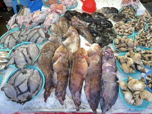 시장 좌판에 진열돼 있는 곰치.