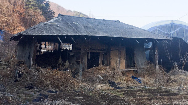 장수군 농촌빈집 정비사업 추진 /사진=장수군 제공