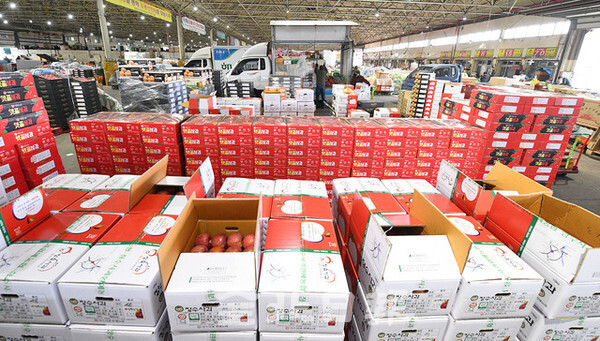 민족의 명절인 설이 다가오면서 17일 전주시 송천동 농수산시장에 각종 선물용과 제수용 과일이 출하돼 어려운 경제상황 속에서도 활기를 찾아가고 있다. 오세림 기자