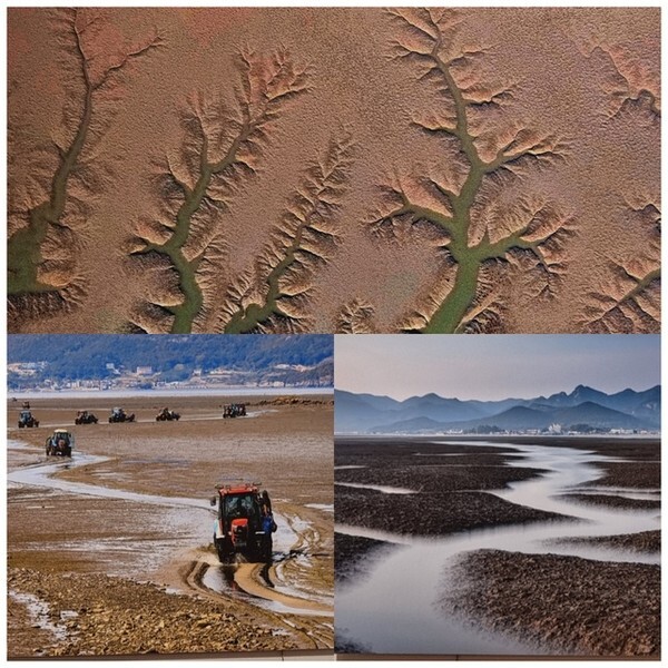 입상작 전시회/사진=고창예총 제공