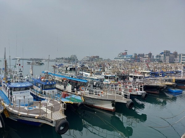 비응항에 정박돼 있는 낚시배 모습.