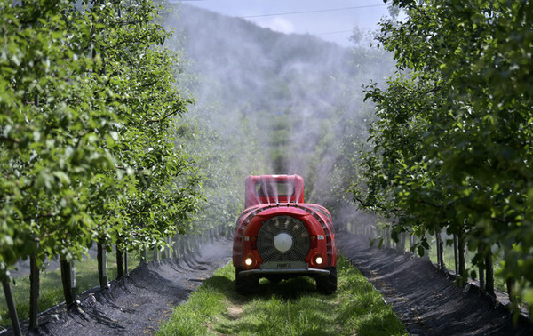 장수군 사과나무 방제 자료사진
