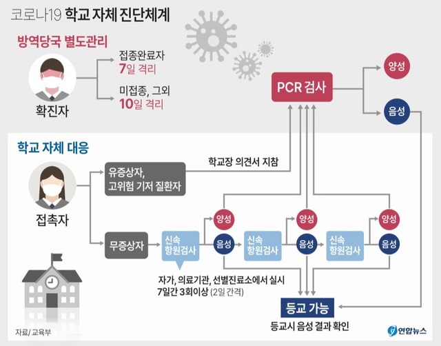 [그래픽] 코로나19 학교 자체 진단체계/연합뉴스