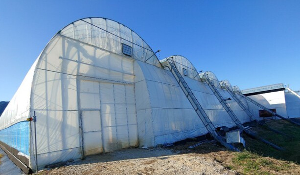 남원 과실 재패 비닐하우스 전경