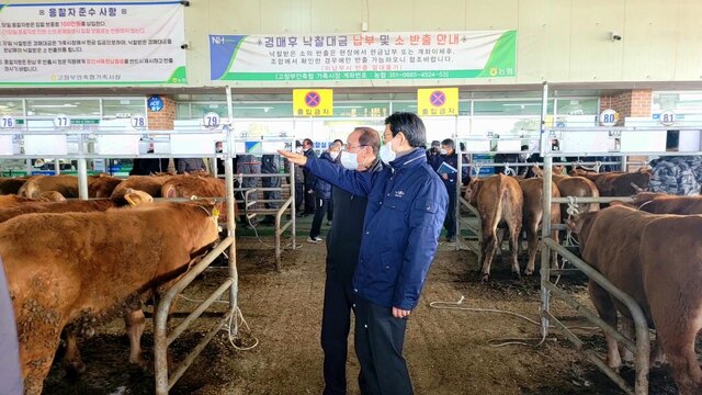 고창부안축협 가축시장 현장 점검