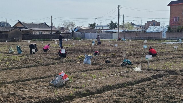 완주군 텃밭운영