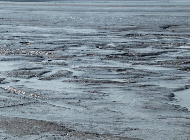 최종렬 작가/사진=아트갤러리 전주 홈페이지