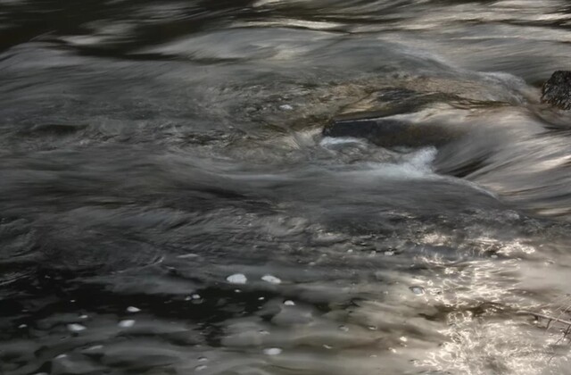 이지원 작가/사진=아트갤러리 전주 홈페이지