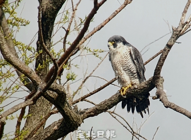 익산 만경강 매