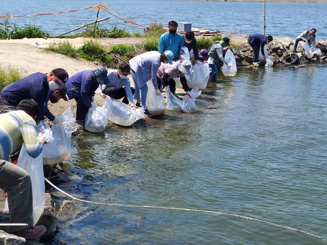 참게 치어 방류
