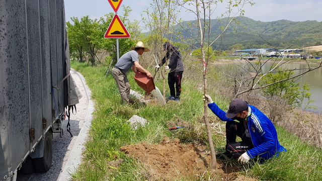 익산 금마저수지 원앙