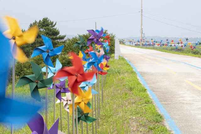 익산 성당포구 바람개비길