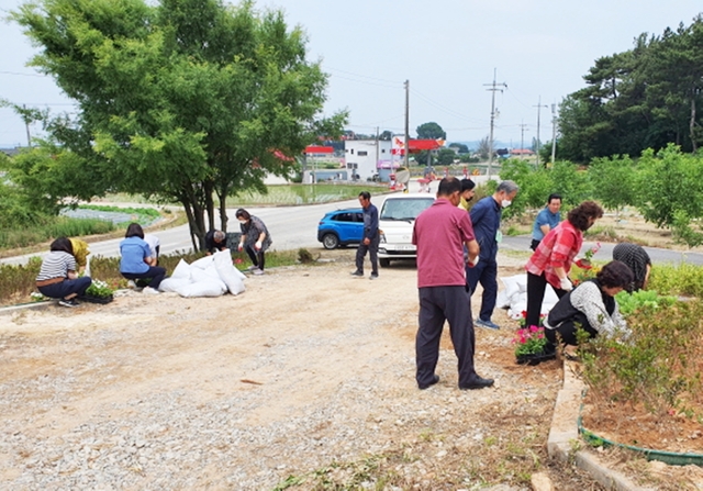 익산 망성면 곰솔공원