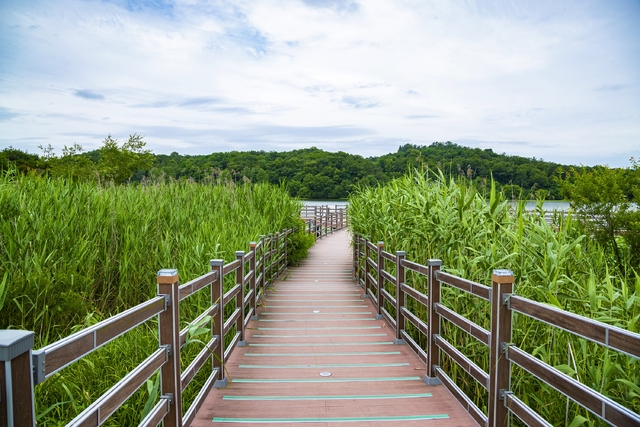 금마 서동생태관광지
