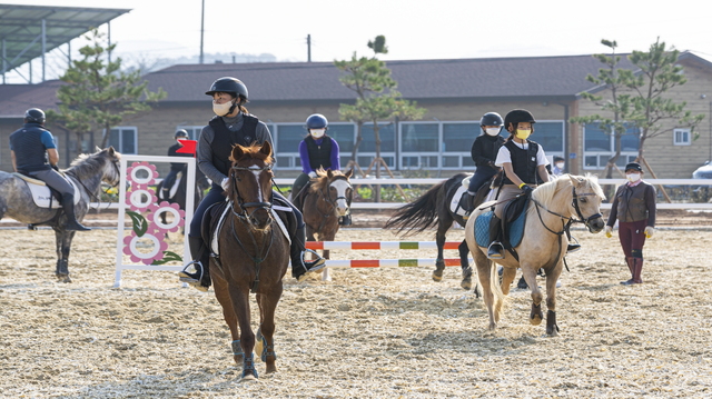 익산 공공승마장