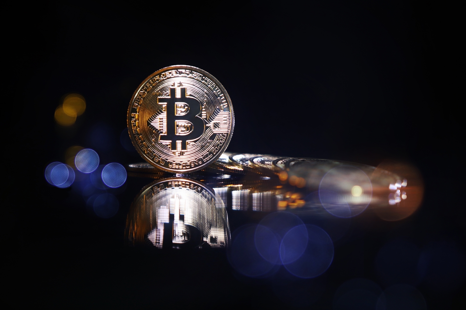 코인으로 돈 잃었는데 세금 내라고?⋯응답하라, 대선·총선 공약